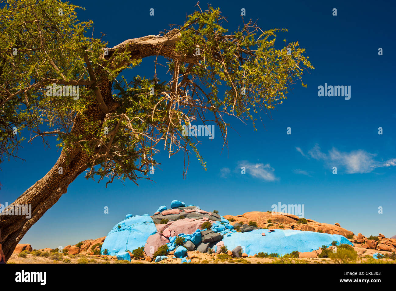 Gemalte Felsen des belgischen Künstlers Jean Verame und ein Arganbaum (Argania Spinosa), in der Nähe von Tafraoute, Anti-Atlas, Südmarokko Stockfoto