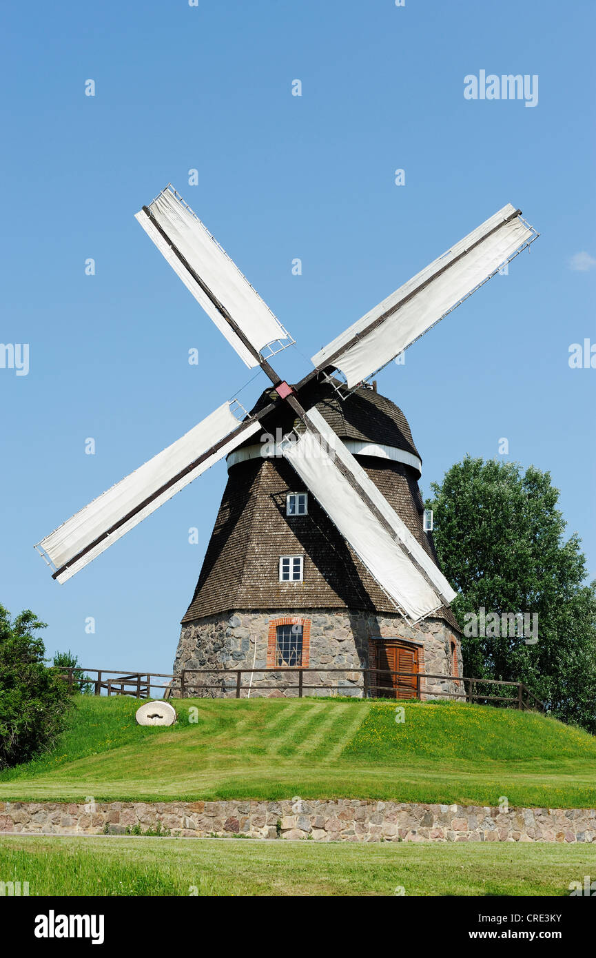 Windmühle, Woldegk, Mecklenburg-Western Pomerania, Deutschland, Europa Stockfoto