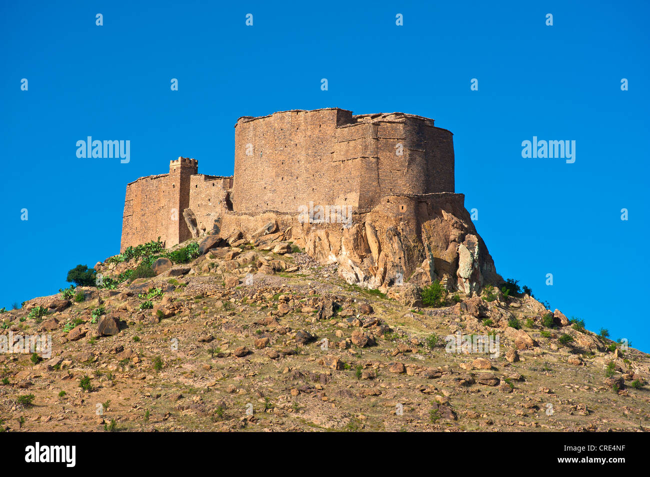 Befestigte Getreidespeicher, Agadir Tasguent, auf eine Klippe oben, Antiatlas, Marokko, Marokko, Südafrika Stockfoto