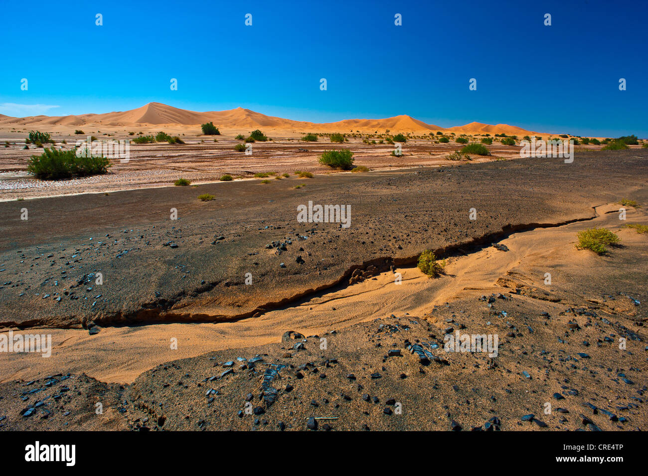 Hamadah Stein Wüste und ein ausgetrocknetes, Flussbett, Sanddünen des Erg Chebbi am Rücken, Südmarokko, Afrika Stockfoto