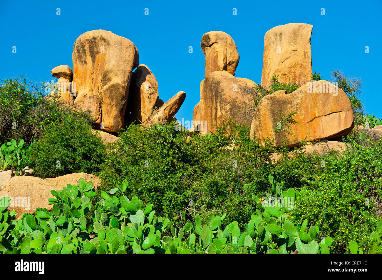 Riesige Granitfelsen, kleine Bäume in Arganöl (Argania Spinosa) und Feigenkaktus (Opuntia Ficus Indica) im Anti-Atlas-Gebirge Stockfoto