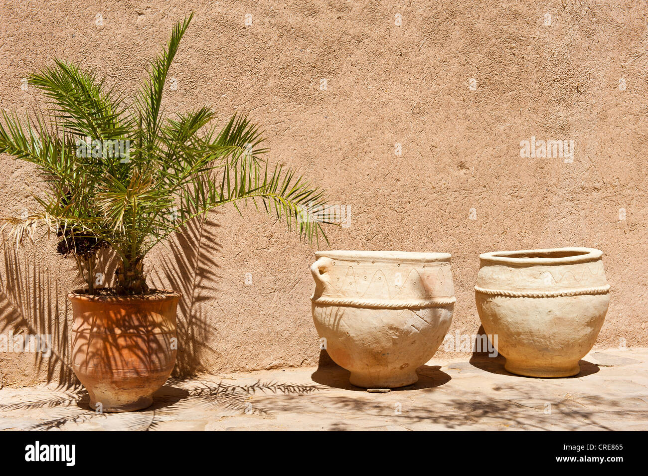 Kleine Palme in einem Topf und traditionelle Keramik Töpfe vor einem Schlamm Wand, Skoura, untere Dades Tal, Kasbah Road, Marokko Stockfoto