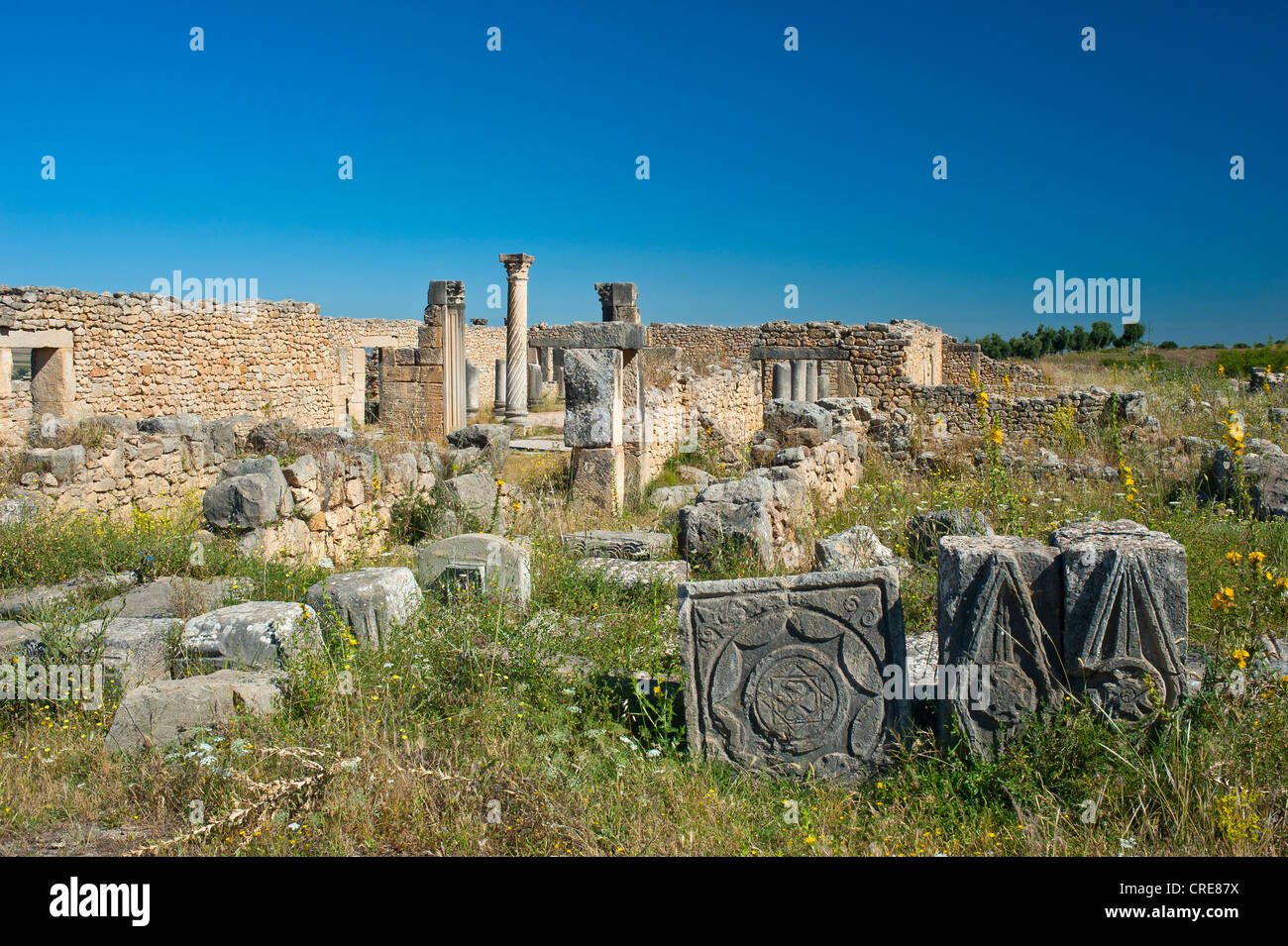 Fragmente der Steinmetzkunst, römische Ruinen, antike Stadt Volubilis, UNESCO-Weltkulturerbe, Marokko, Nordafrika, Afrika Stockfoto