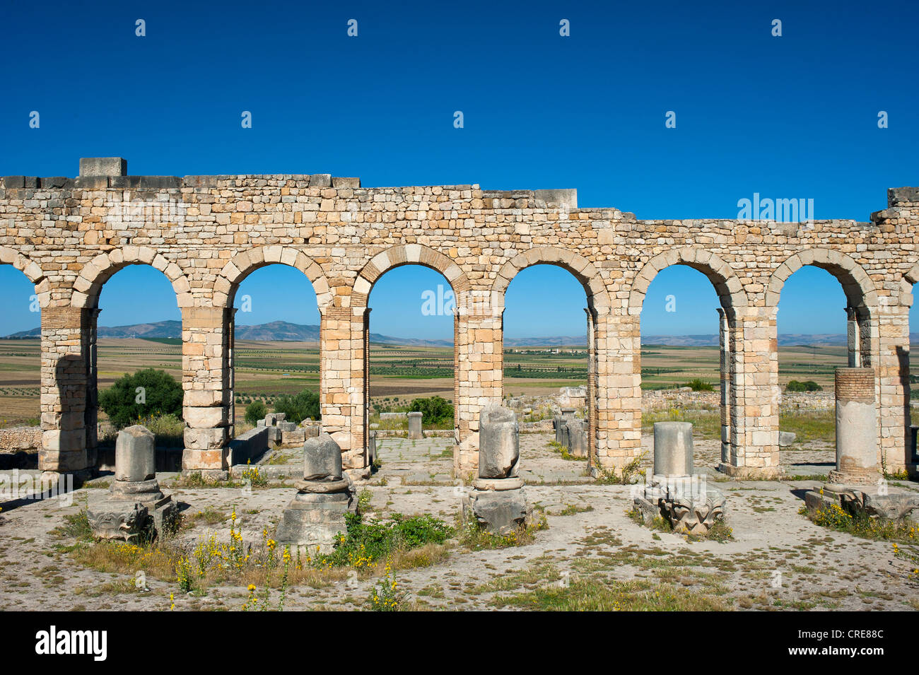 Basilika, römische Ruinen, antike Stadt Volubilis, UNESCO-Weltkulturerbe, Marokko, Nordafrika, Afrika Stockfoto