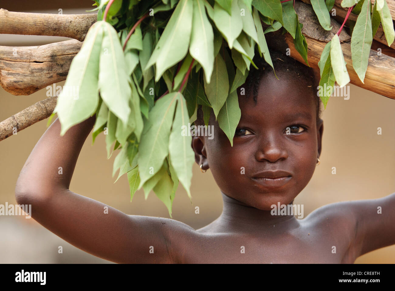 Eine Mädchen trägt Brennholz und Maniok lässt auf ihren Kopf in das Dorf Kawejah, Grand Cape Mount County, Liberia Stockfoto