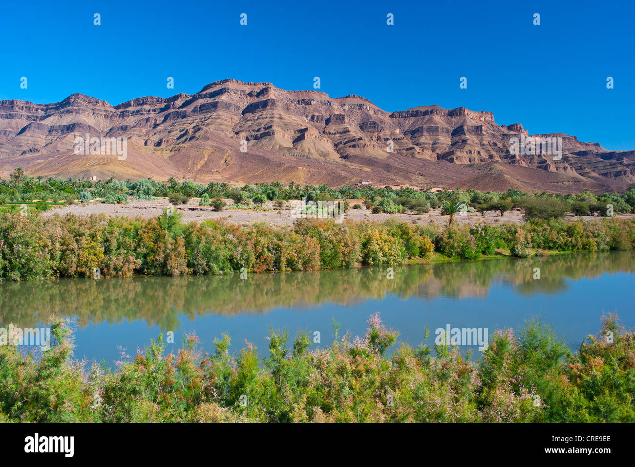 Draa Fluß, Gebirgskette Djebel Kissane Tafelberg am Rücken, Draa-Tal, südlichen Marokko, Marokko, Afrika Stockfoto