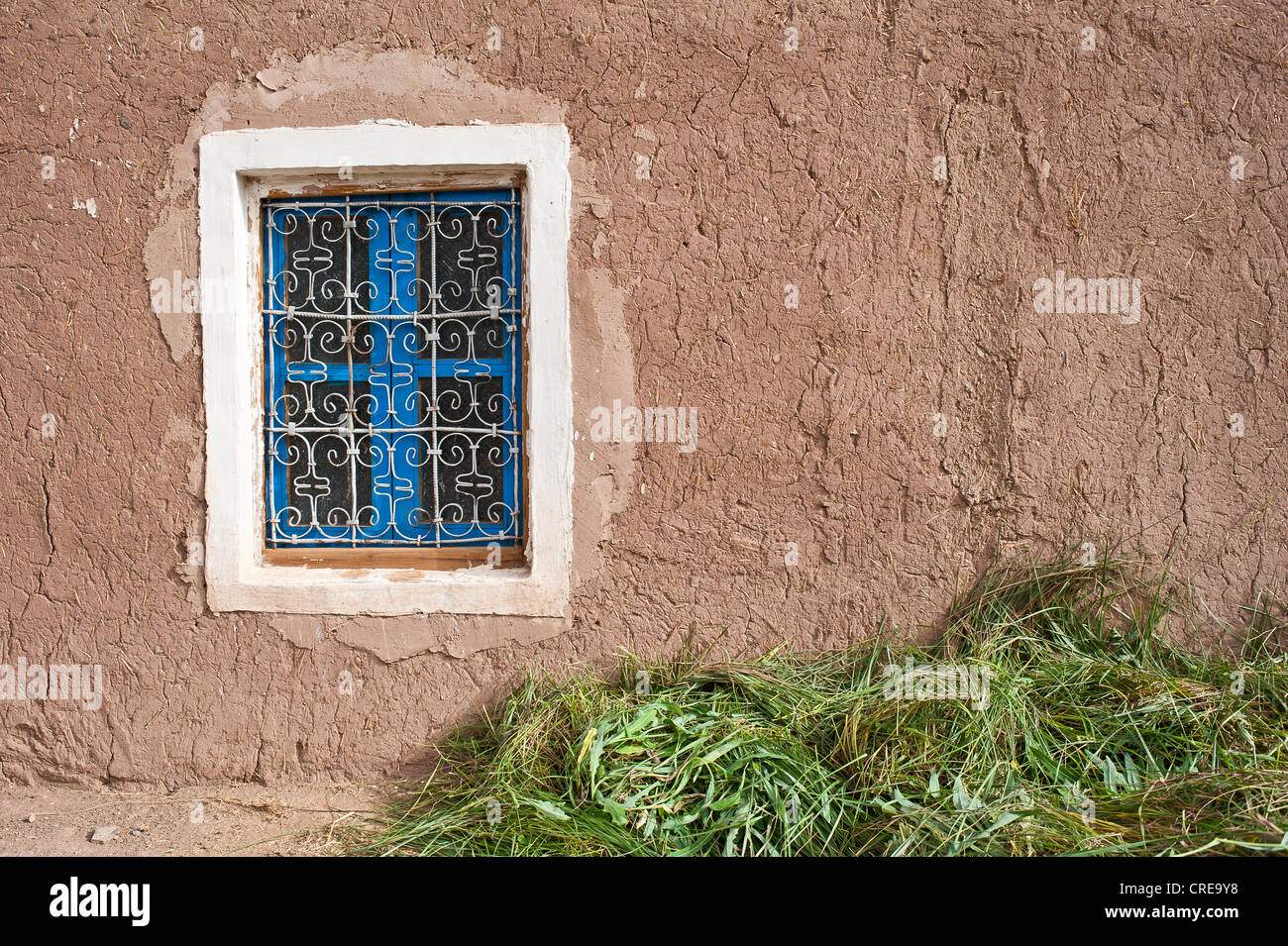 Fassade des ein Haus aus Lehmziegeln, blaue Gitterfenster, grünes Futter auf dem Boden für Haustiere, Atlasgebirge, Marokko Stockfoto