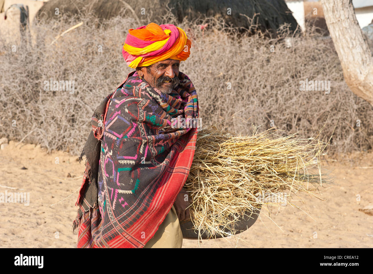 Alten indischen Mann mit bunten Turban eingehüllt in eine Decke, er trägt Stroh in einer Schüssel, Thar-Wüste, Rajasthan Stockfoto