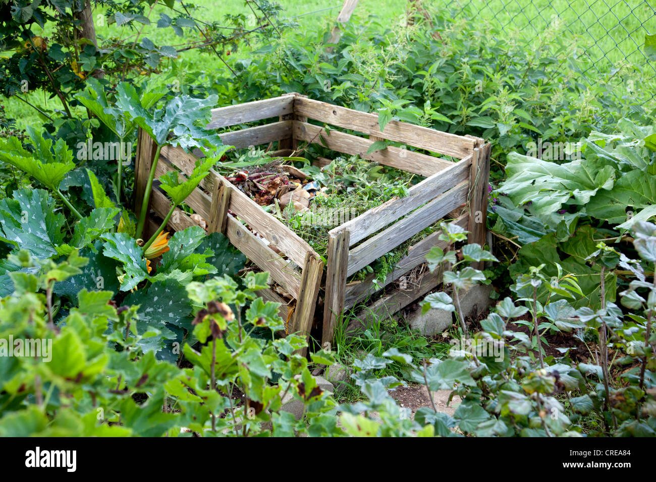 Biomüll, Kompost, Kompost Haufen, Deutschland, Europa Stockfoto