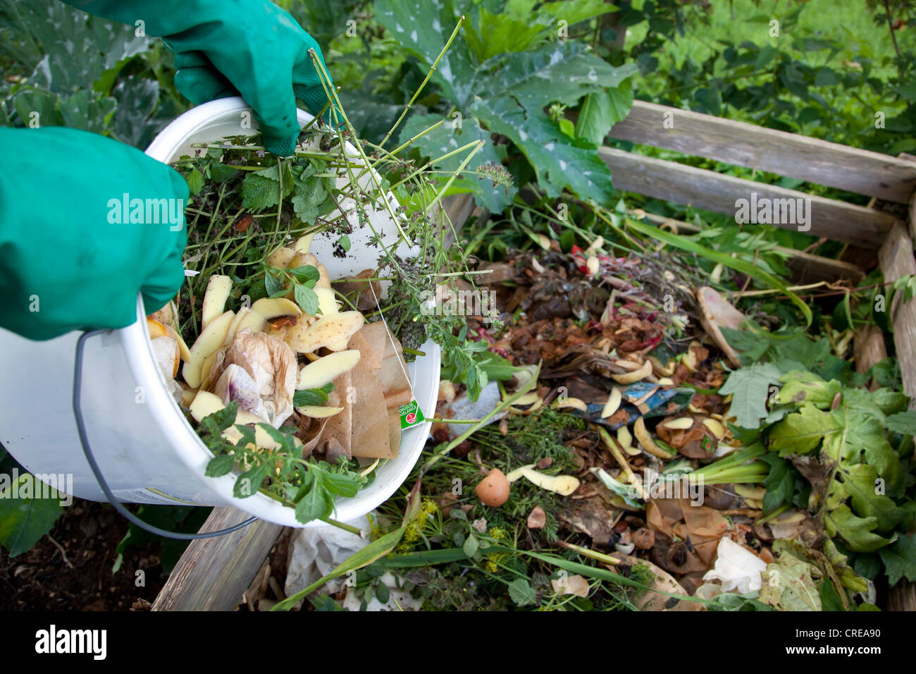 Biomüll, Kompost, Kompost Haufen, Deutschland, Europa Stockfoto