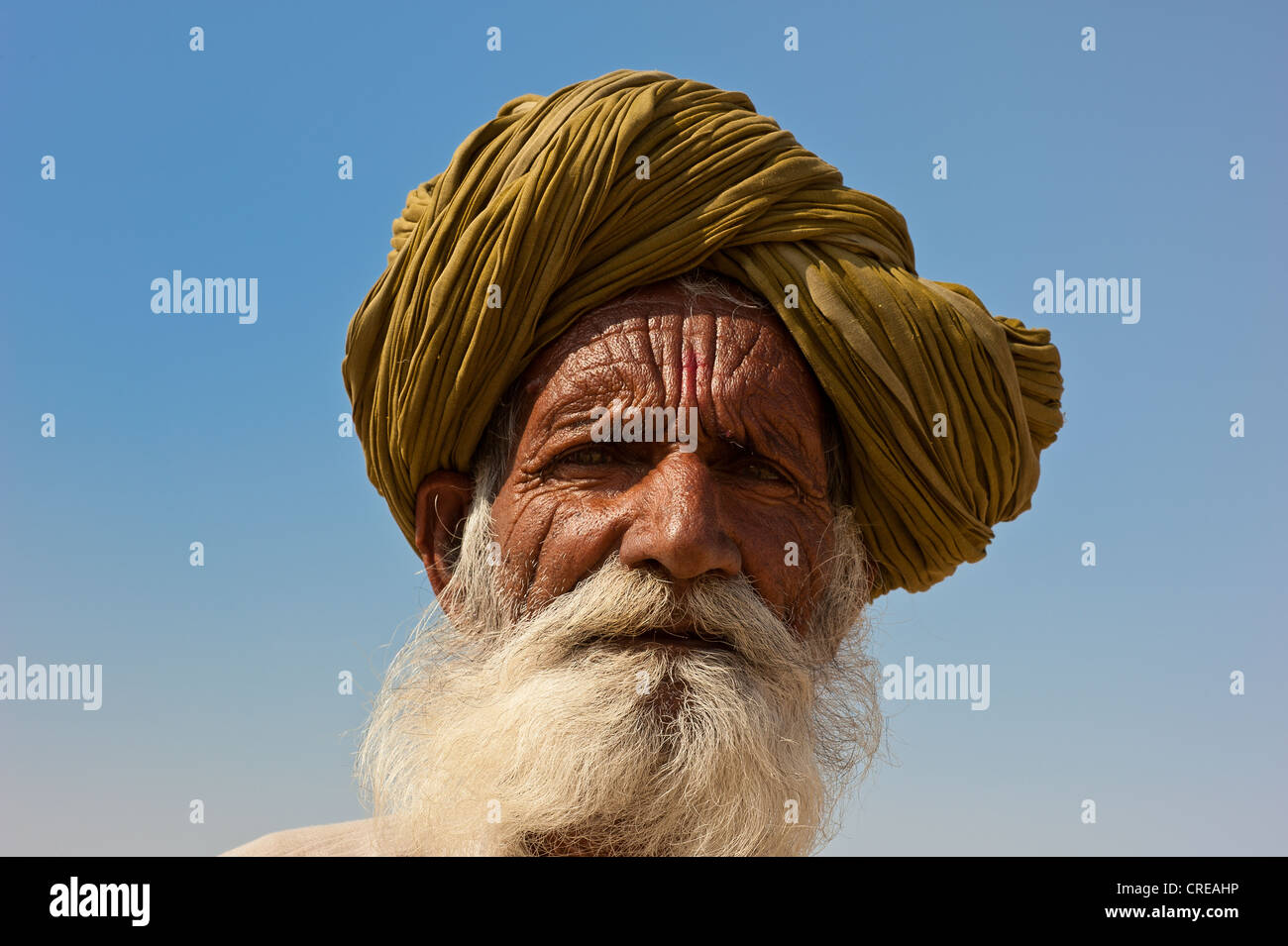 Porträt von einem älteren Rajasthani, indischer Mann mit einem grauen Bart mit traditionellen Turban Thar-Wüste, Rajasthan, Indien, Asien Stockfoto