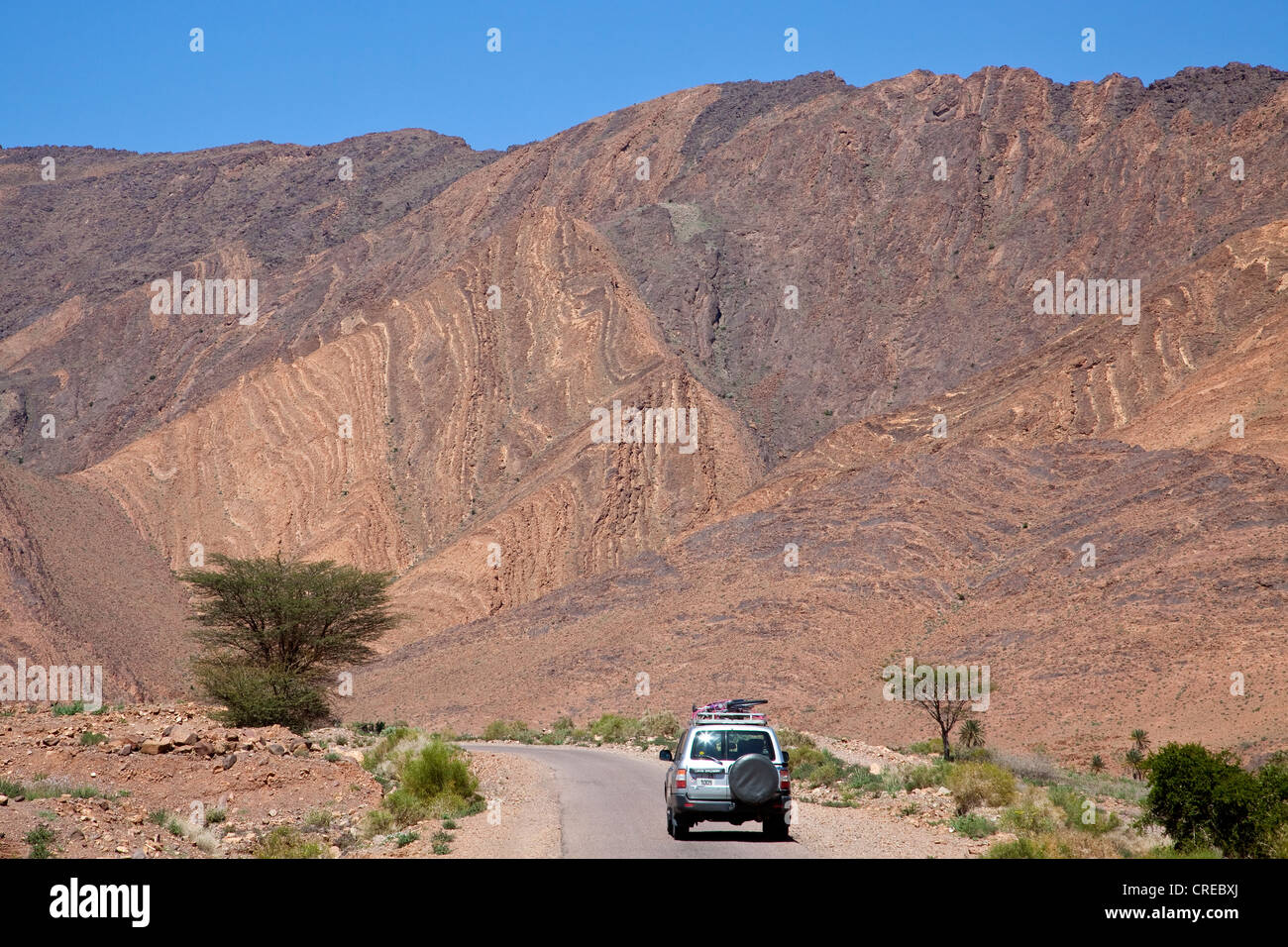 All - Terrain Vehicle, Toyota Land Cruiser, Fahrt auf einer Straße in der Nähe von Foum Zguid, Marokko, Afrika Stockfoto