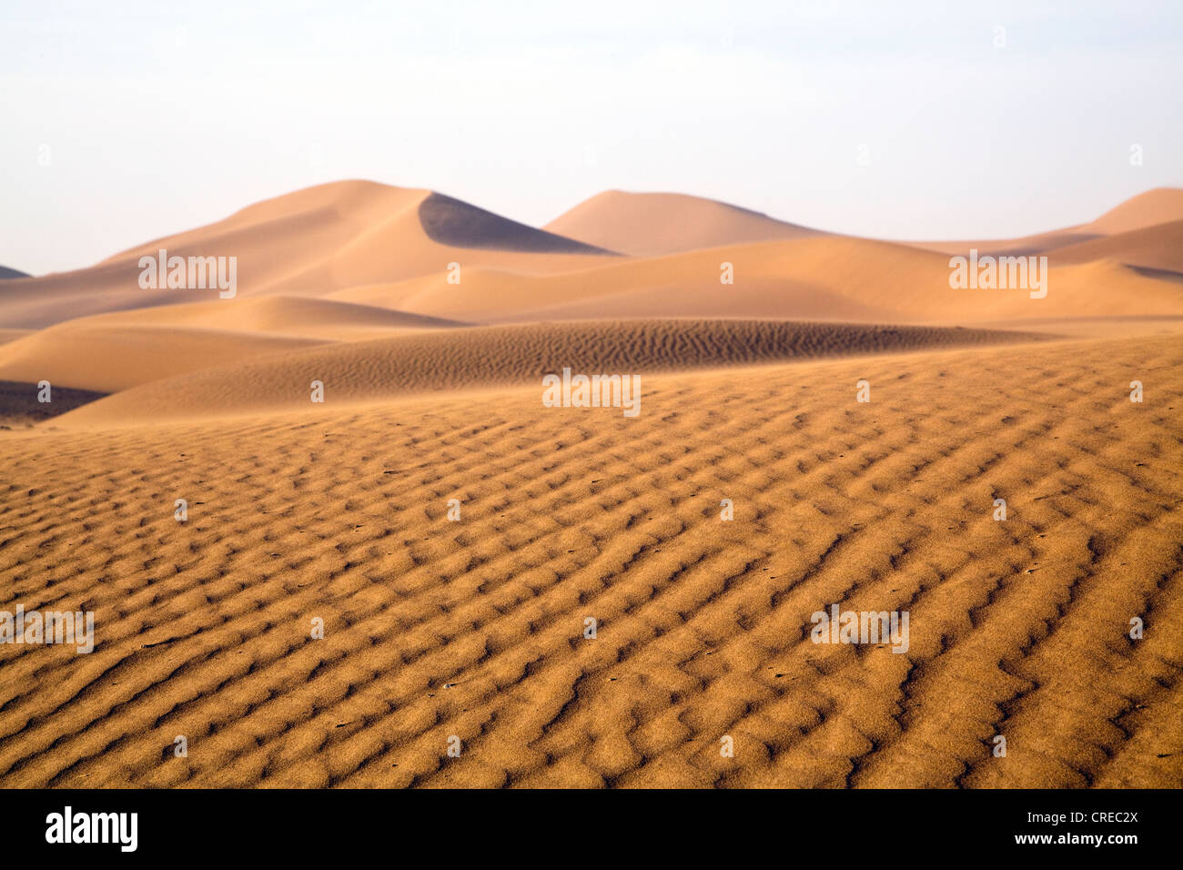 Sanddünen des Erg Chegaga, Sahara Wüste nahe Mhamid, Marokko, Afrika Stockfoto