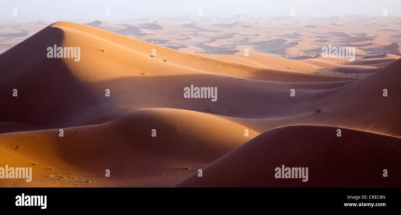 Dünen, Erg Chegaga Region, Sahara Wüste nahe Mhamid, Marokko, Afrika Stockfoto