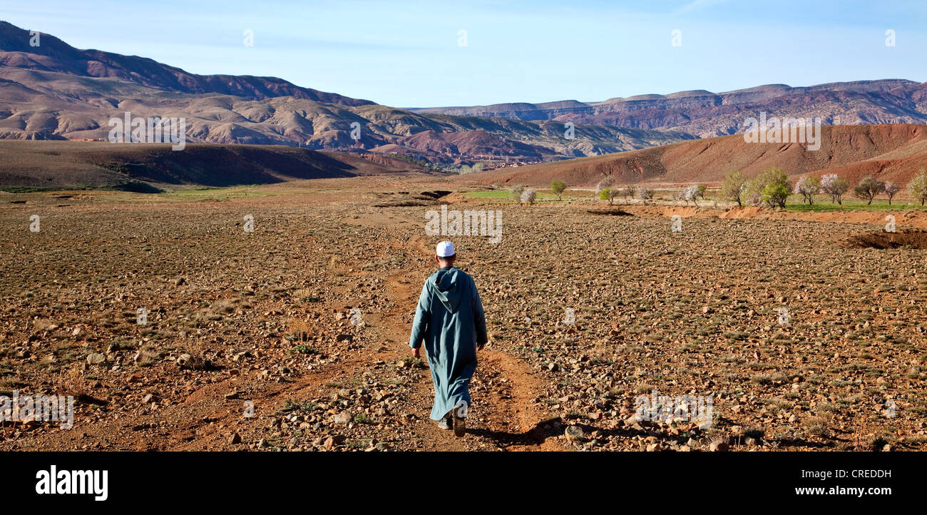 Berber Mann trägt eine traditionelle Djellaba zu Fuß in ein Feld in den hohen Atlas-Gebirge, in der Nähe von Ouarzazate, Marokko, Afrika Stockfoto