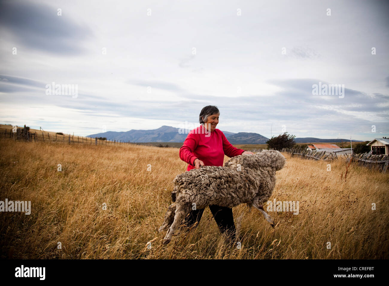 Ein Porträt einer Frau mit der Haut eines Schafes. Sie bewirtschaftet ihr Land, ihre Familie seit Jahrzehnten hat. Stockfoto