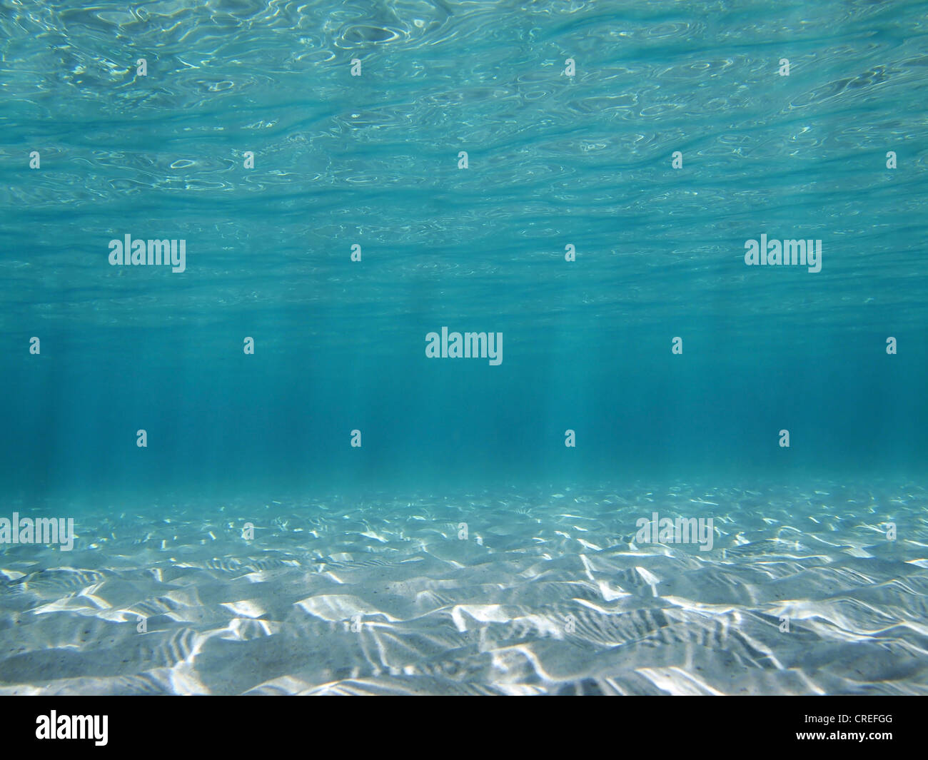 Sonnenlicht unter Wasser auf einem flachen sandigen Meeresboden im Karibischen Meer widerspiegeln Stockfoto