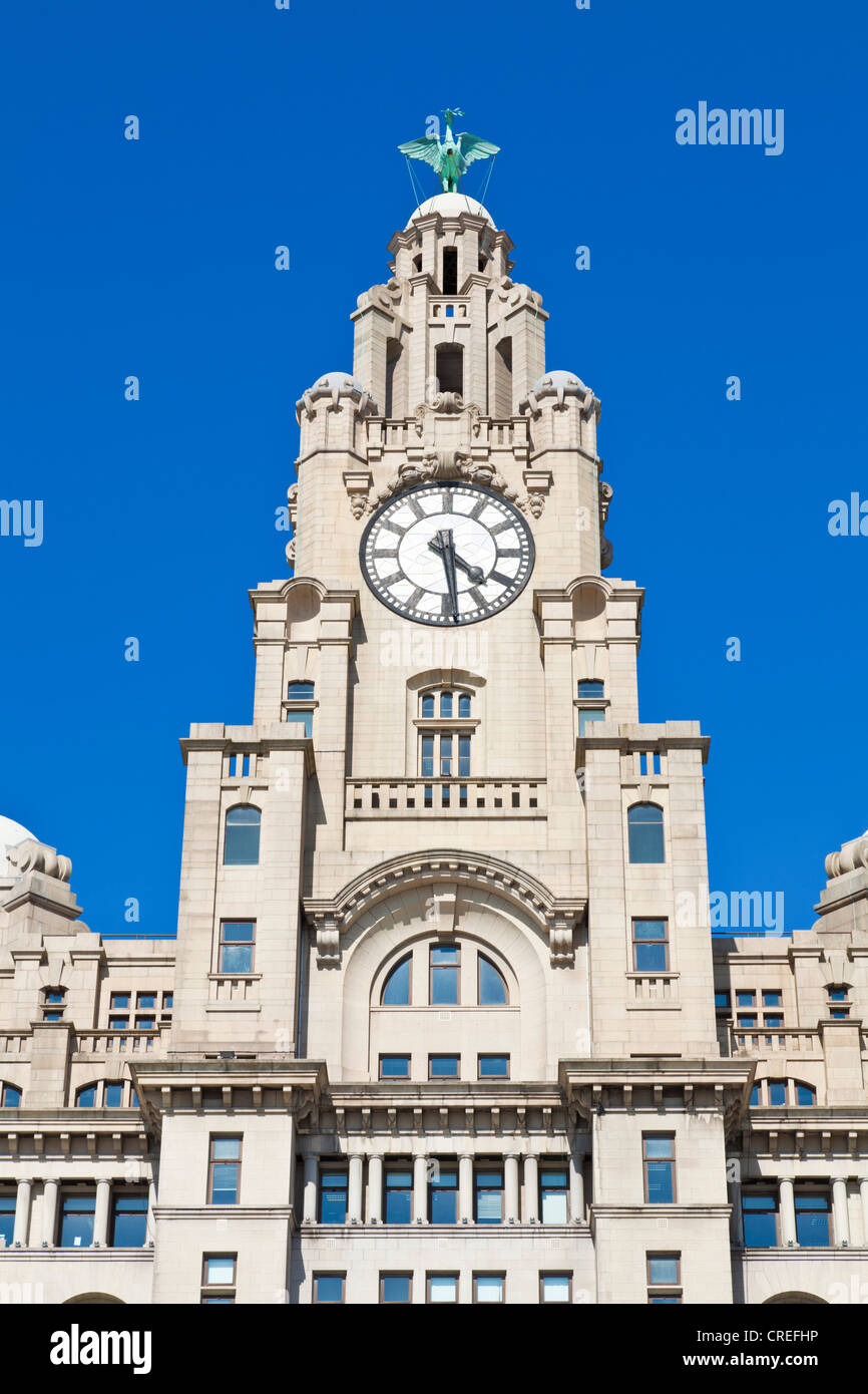 Leber Liverpool Waterfront Merseyside England uk gb EU-Europa Stockfoto