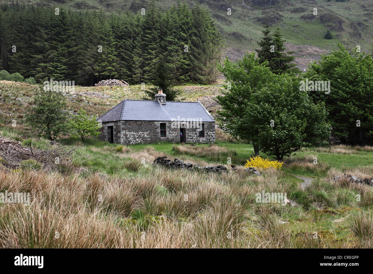 Culsharg Schutzhütte Glentrool Wald Dumfries und Galloway Scotland UK Stockfoto