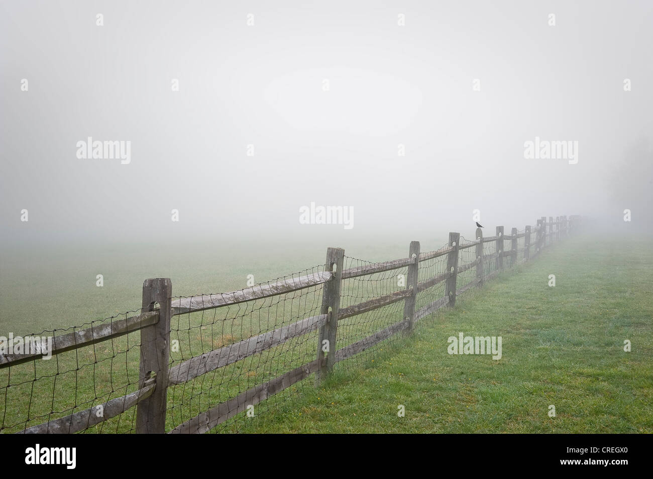 Kleiner Vogel sitzt auf Zaun In nebligen Landschaft Stockfoto