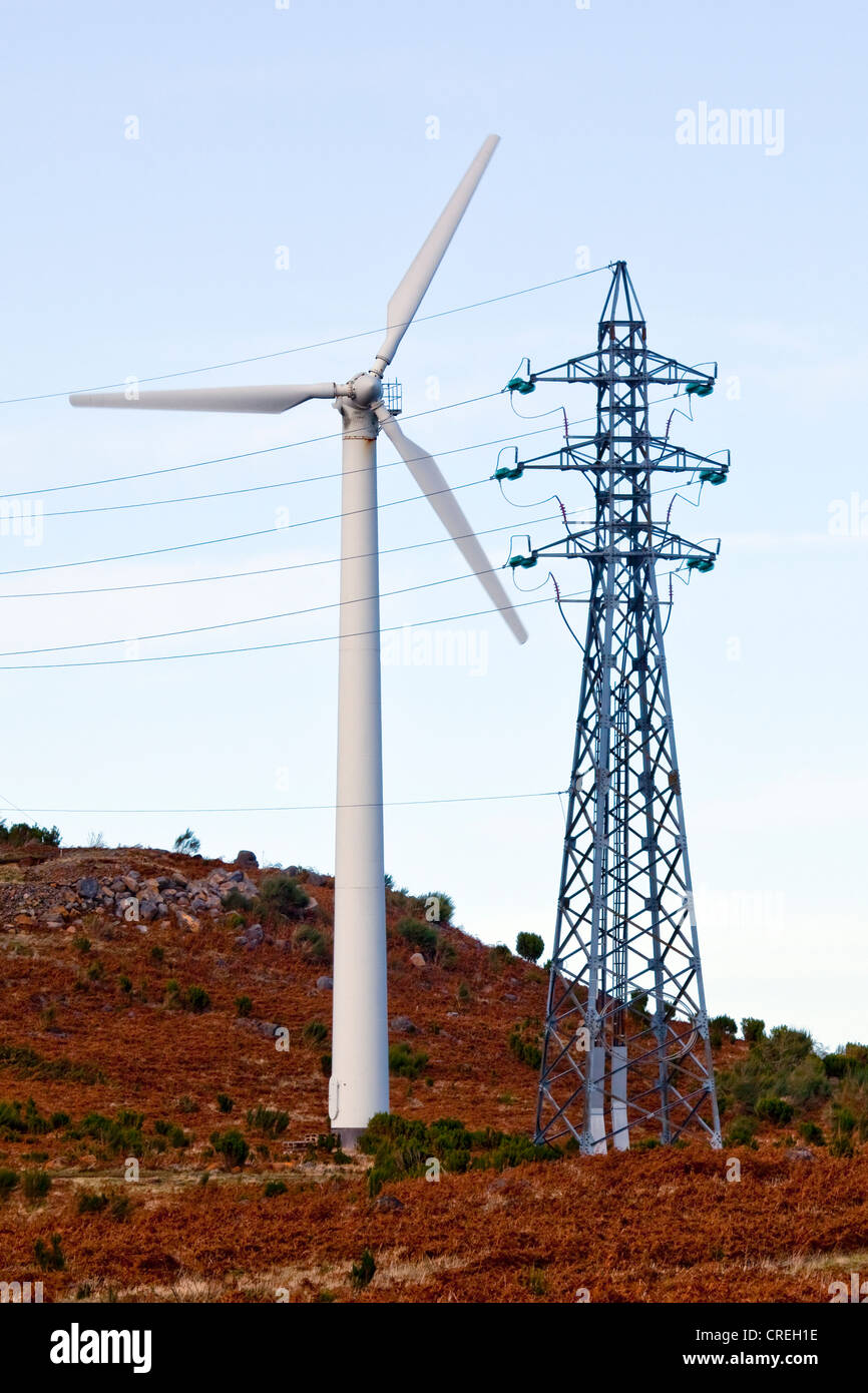 Eine Windkraftanlage und ein Strommast auf Paul da Serra Hochebene, Madeira, Portugal, Europa Stockfoto