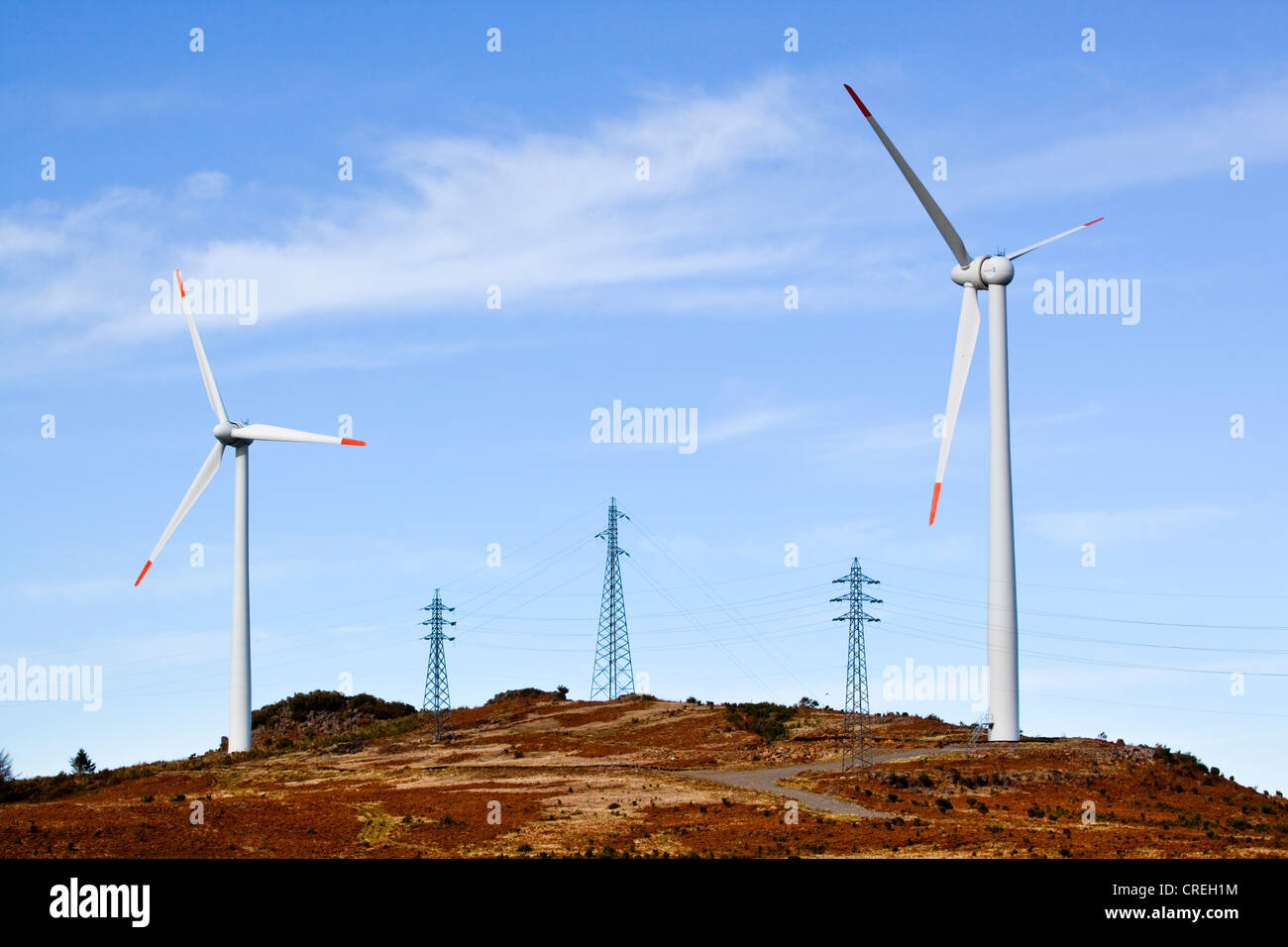 Windkraftanlagen und Strommasten auf Paul da Serra Hochebene, Madeira, Portugal, Europa Stockfoto