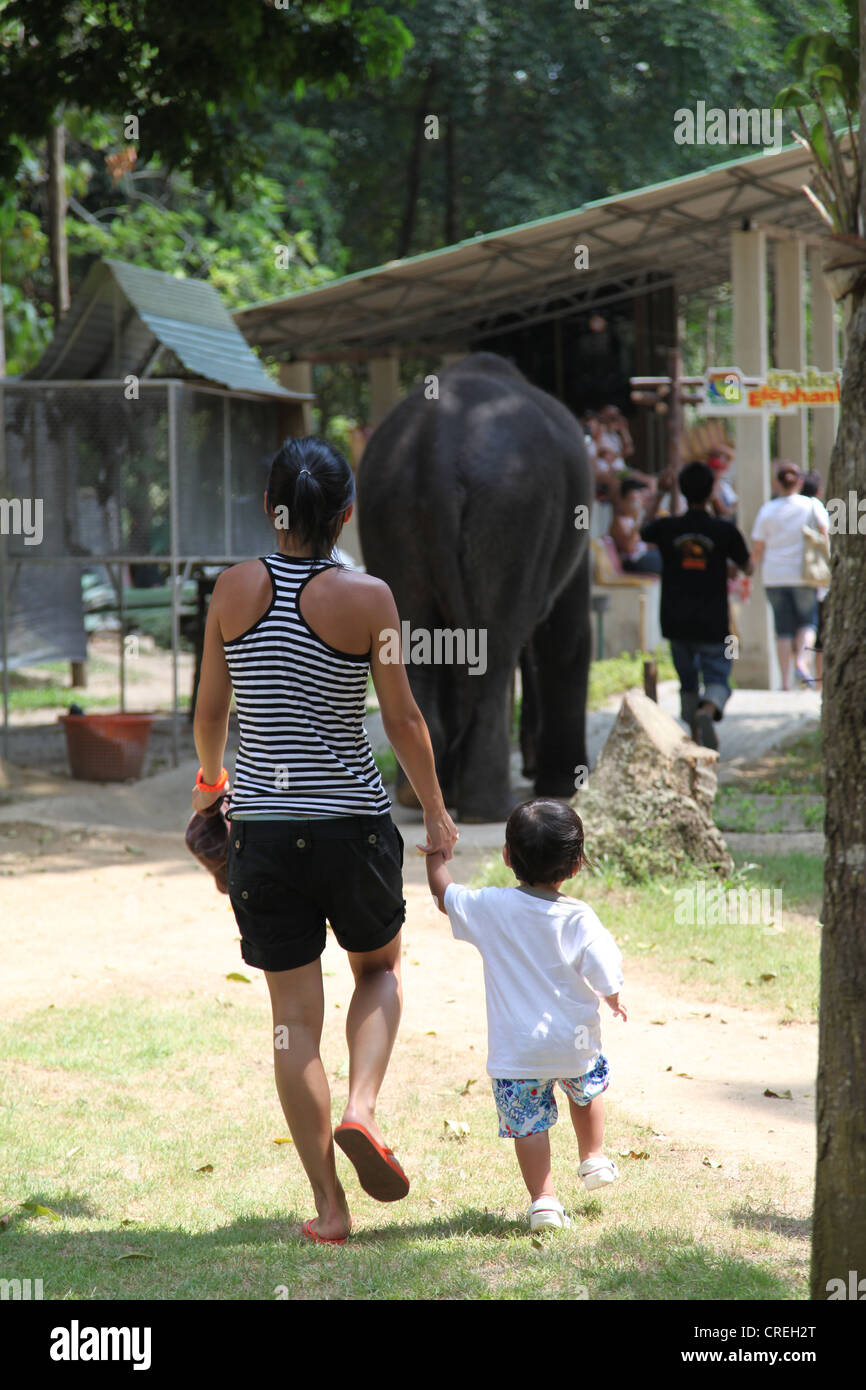 Es ist ein Foto einer jungen chinesischen Mutter mit ihrem Baby Boy-Ansicht von hinten. Sie ein gehen um zu sehen, einen Elefanten in Thailand zeigen Stockfoto