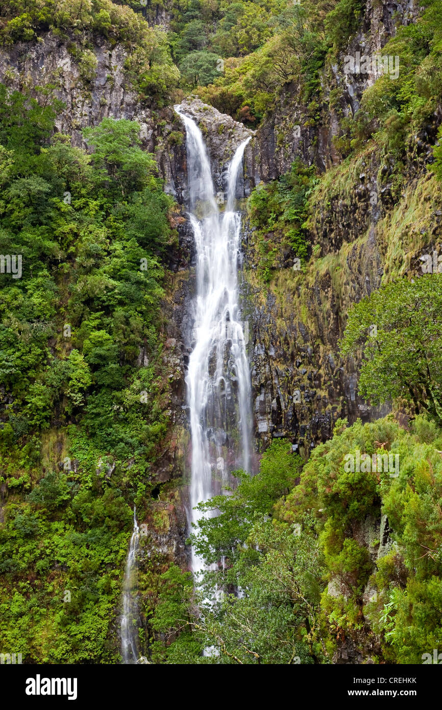 Risco Wasserfall Cascata Risco, Lorbeerwald Laurisilva, UNESCO-Weltkulturerbe in Rabacal, Madeira, Portugal, Europa Stockfoto