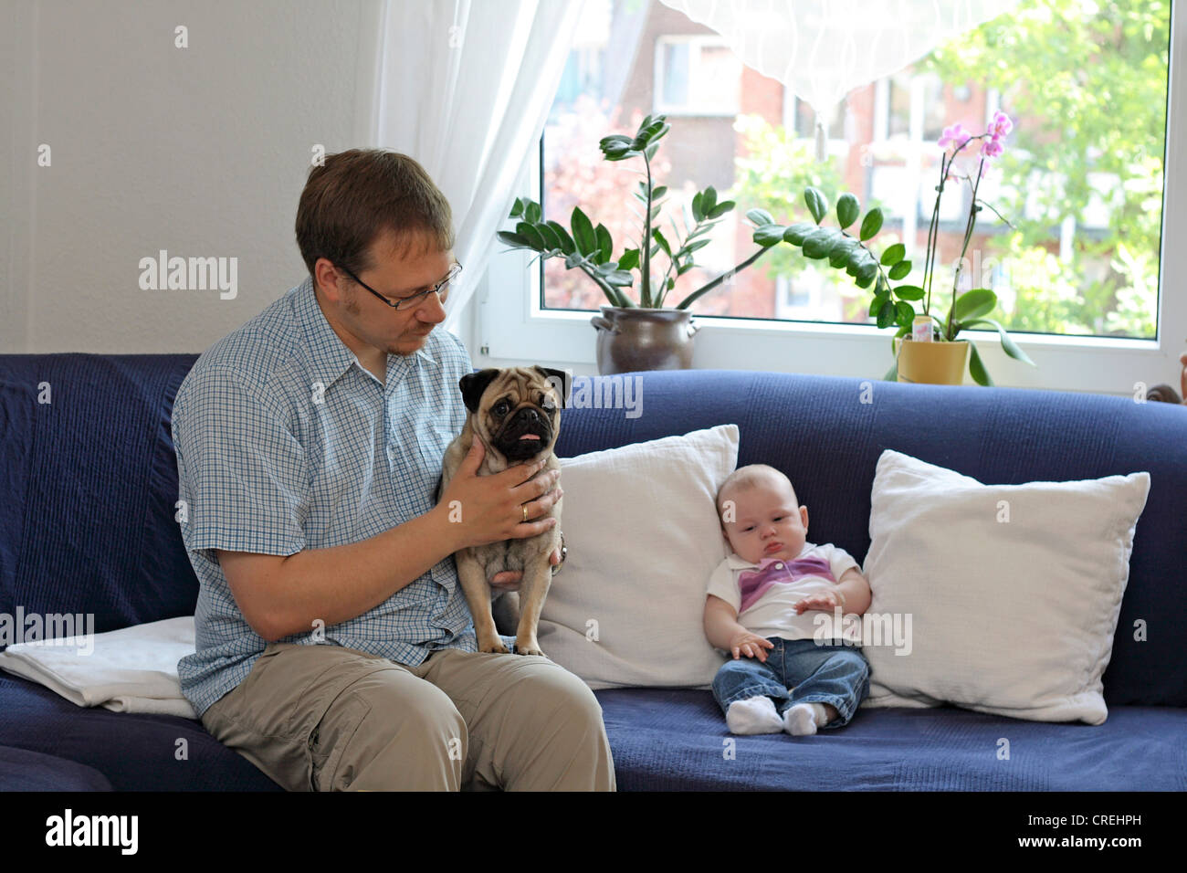 Mops (Canis Lupus F. Familiaris), Mann mit männlichen Mops und drei Monate altes Baby auf Sofa im Wohnzimmer Stockfoto