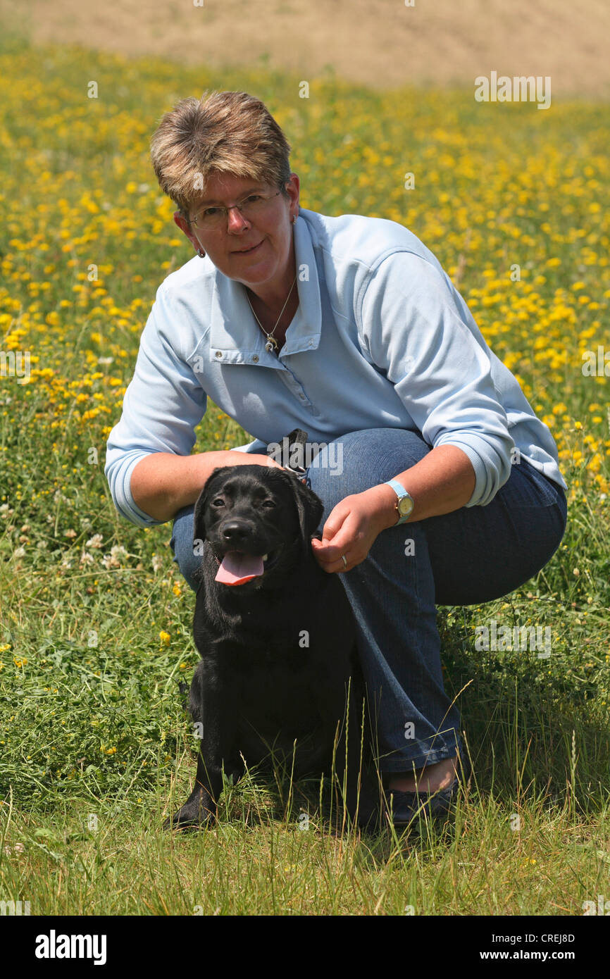 Labrador Retriever (Canis Lupus F. Familiaris), Frau mit ihrem Hund auf blühender Wiese Stockfoto