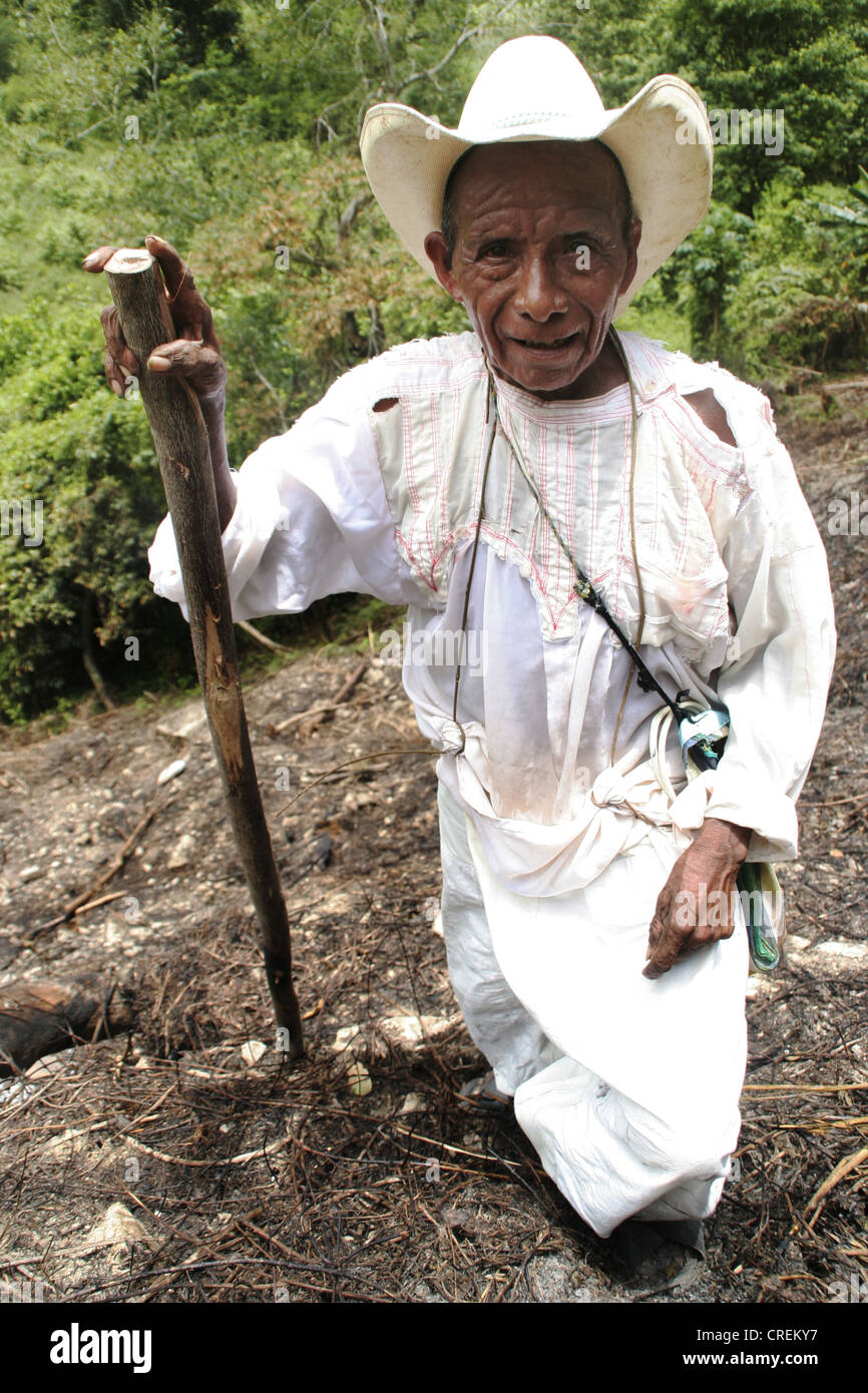 indischen Bauern in traditioneller weißer Kleidung arbeiten auf dem Feld, Mexiko, Veracruz Stockfoto