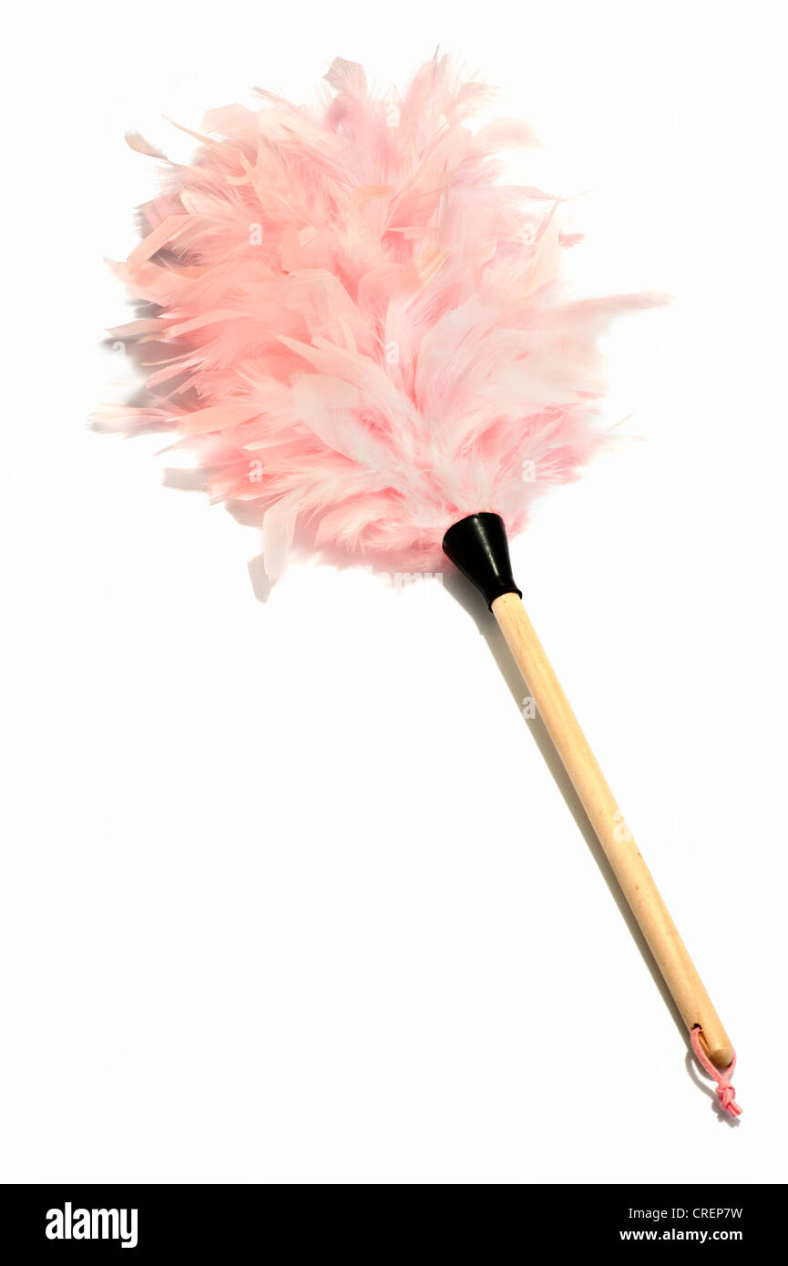 Ein rosa Staubwedel Stockfoto