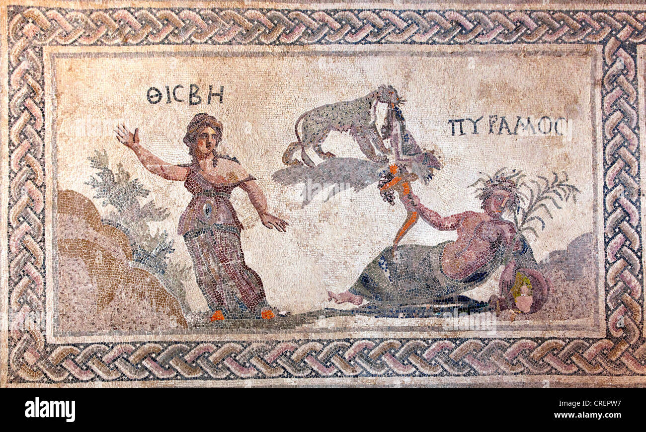 Bodenmosaik im Haus des Dionysos, Römersiedlung, Ausgrabungsstätte, Pafos oder Paphos, Zypern Süd, Zypern Griechisch Stockfoto