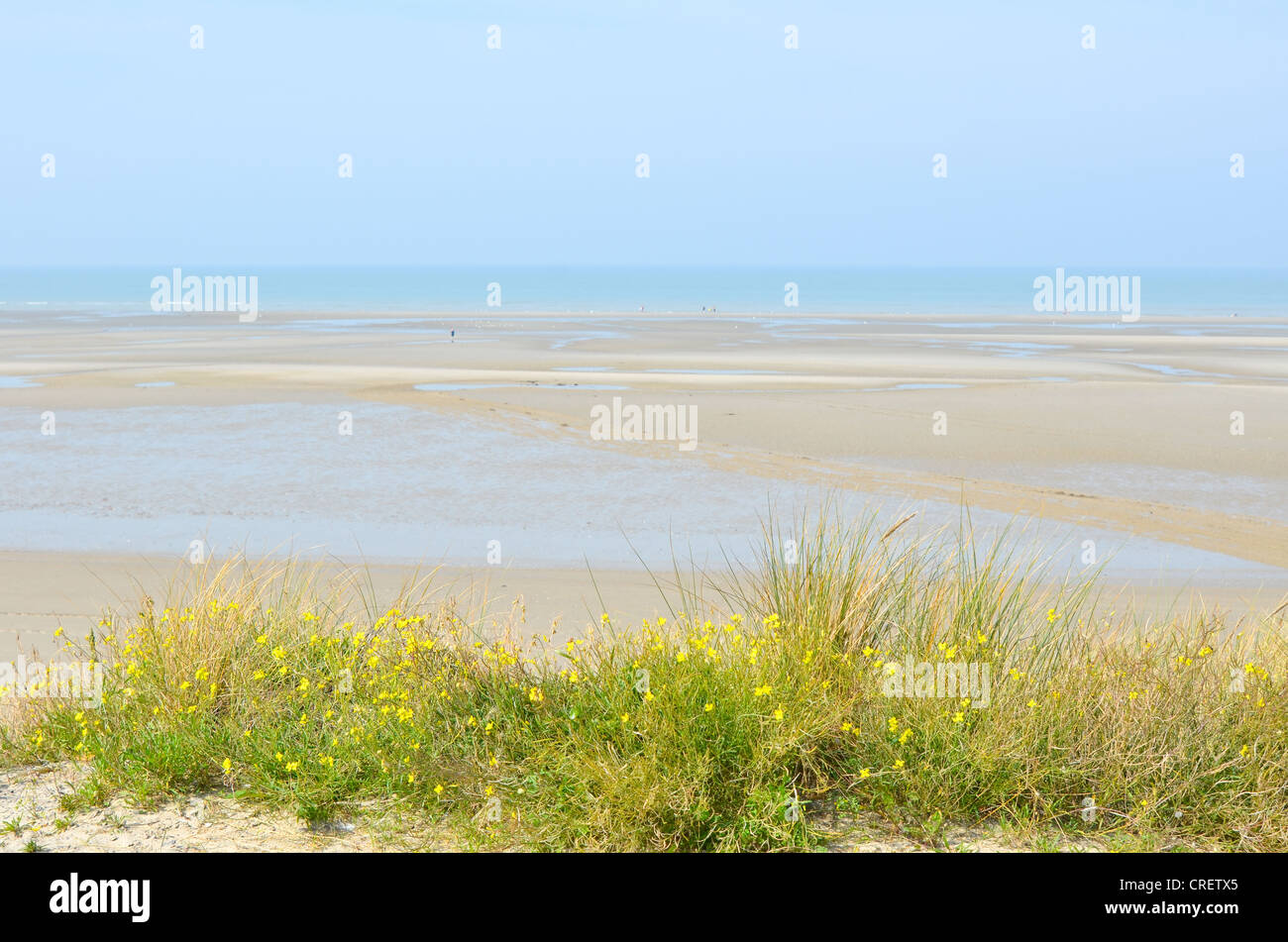 Blick auf den Sandstrand durch das Seegras am Hardelot, Le Touquet, Frankreich Stockfoto