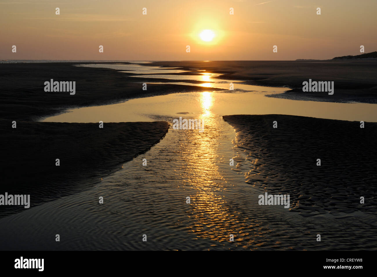 Sonnenaufgang am Strand, Priel, Niederlande, Ameland Stockfoto