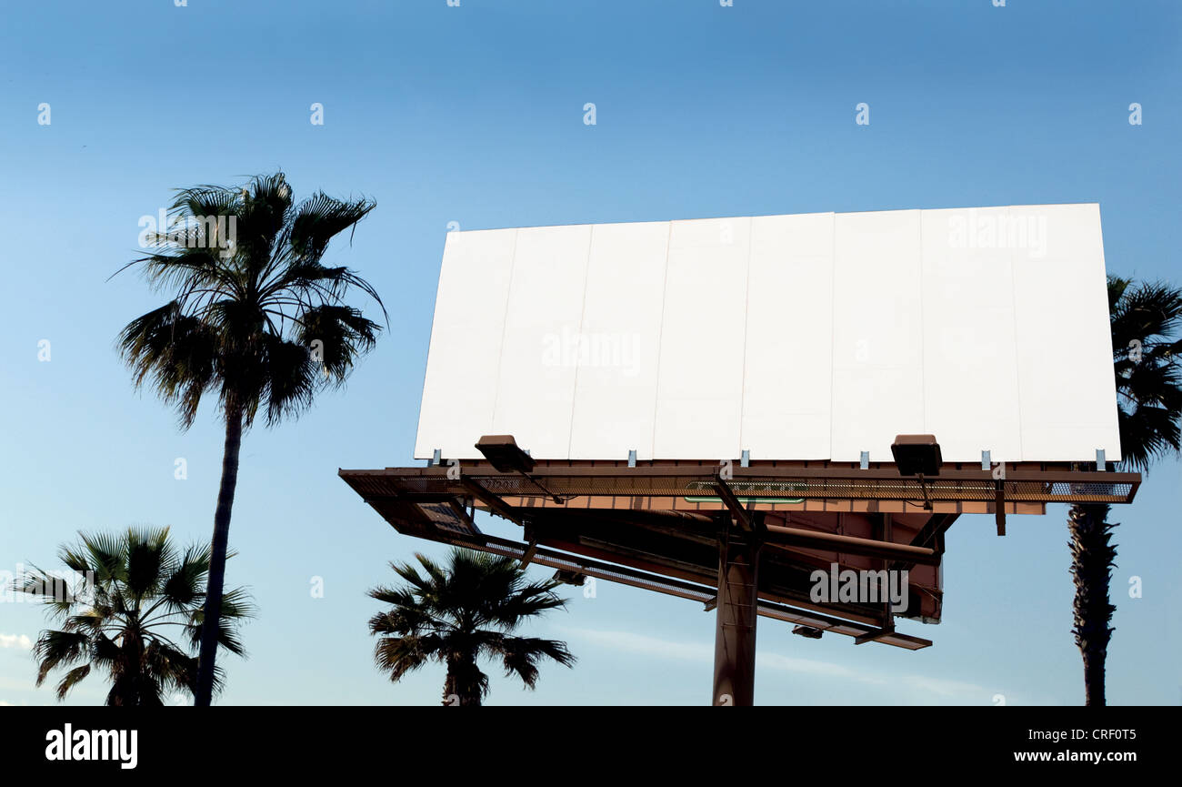 Leere Billboard und Palmen Bäume Stockfoto