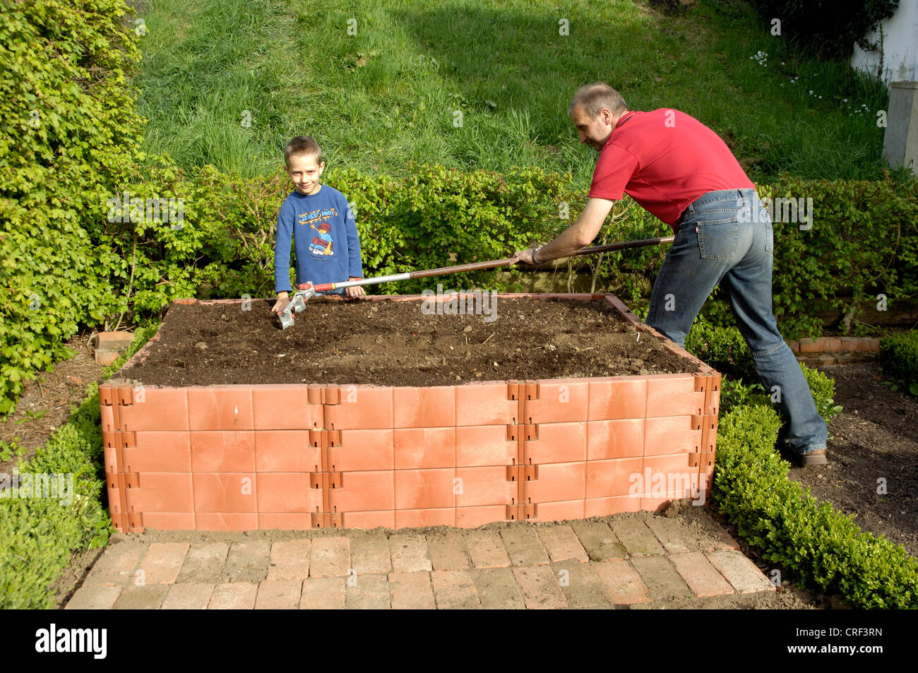 Mann und ein Junge Pflanzen eine erhöhte Blumenbeet Stockfoto