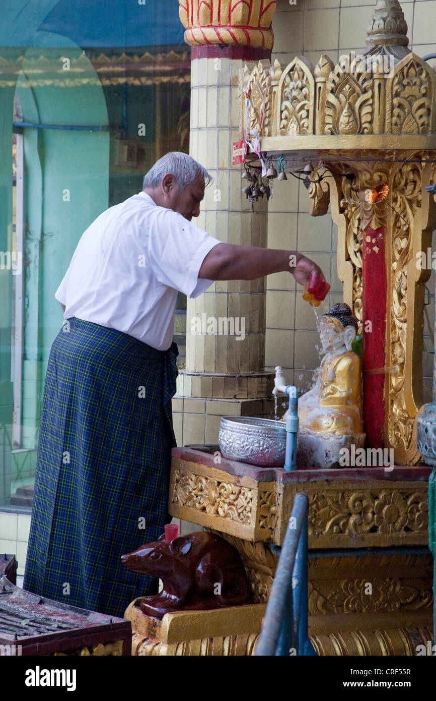 Myanmar, Burma, Yangon. Sule-Pagode. Verehrer gießen Wasser über kleine Buddha-Statue. Stockfoto