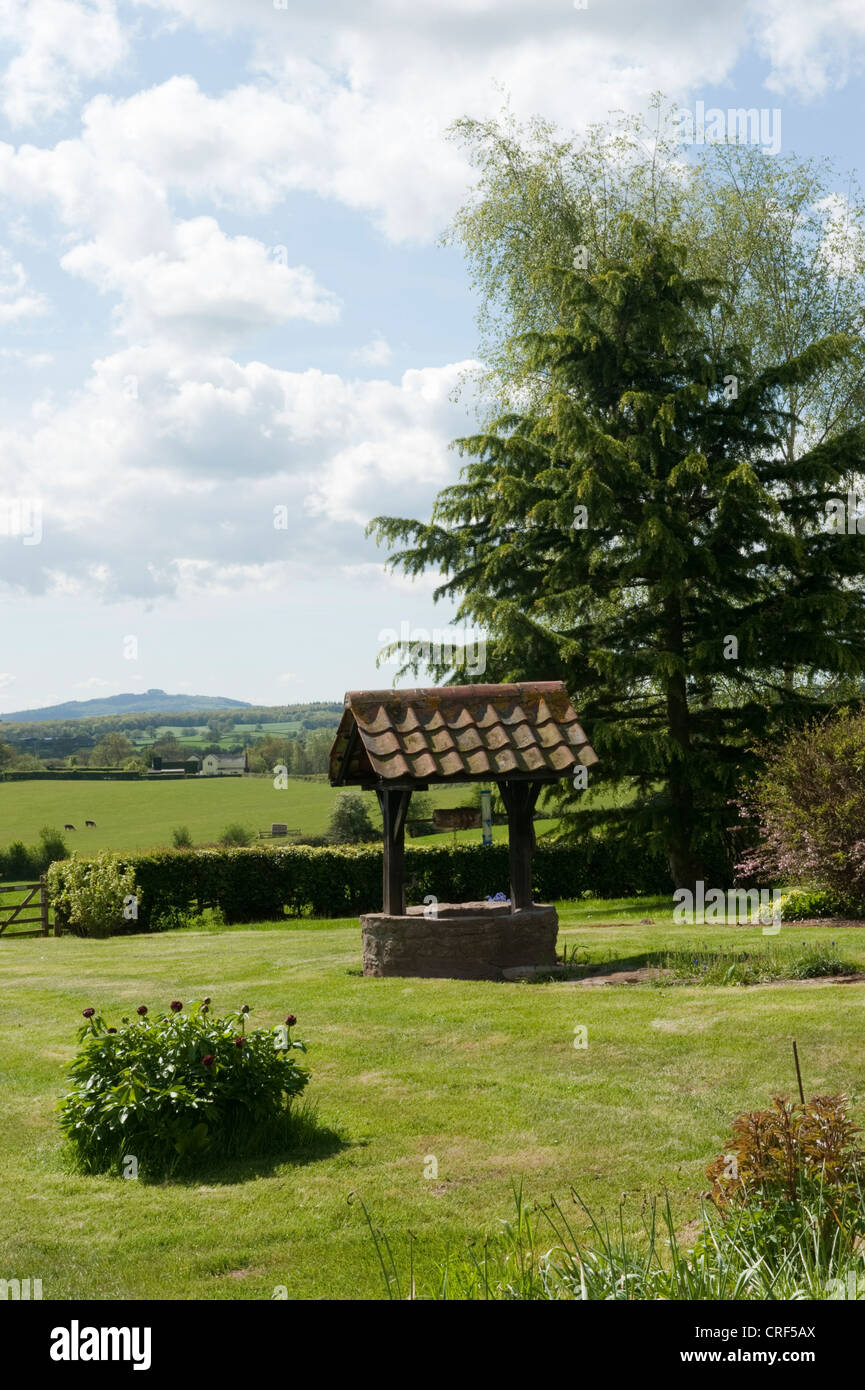 Auch auf Awnells Farm in viel Marcle mit Mai Hügel in der Ferne Stockfoto