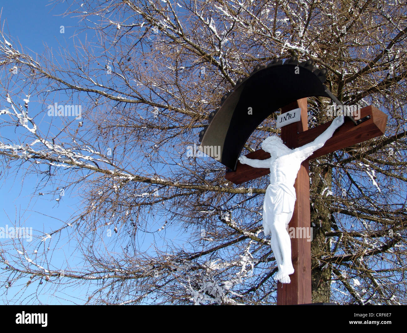 gemeinsamen Lärche, Lärche (Larix Decidua, Larix Europaea), am Straßenrand Kreuz in Schneelandschaft, Deutschland Stockfoto