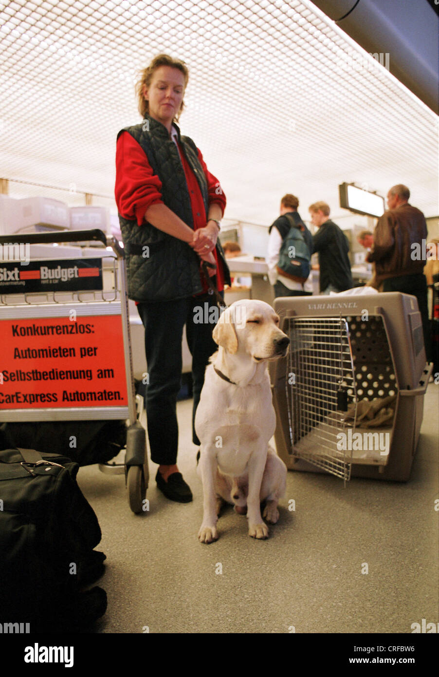 Berlin, Deutschland, mit meiner Herrin und Hund Käfig für den Abflug warten Stockfoto