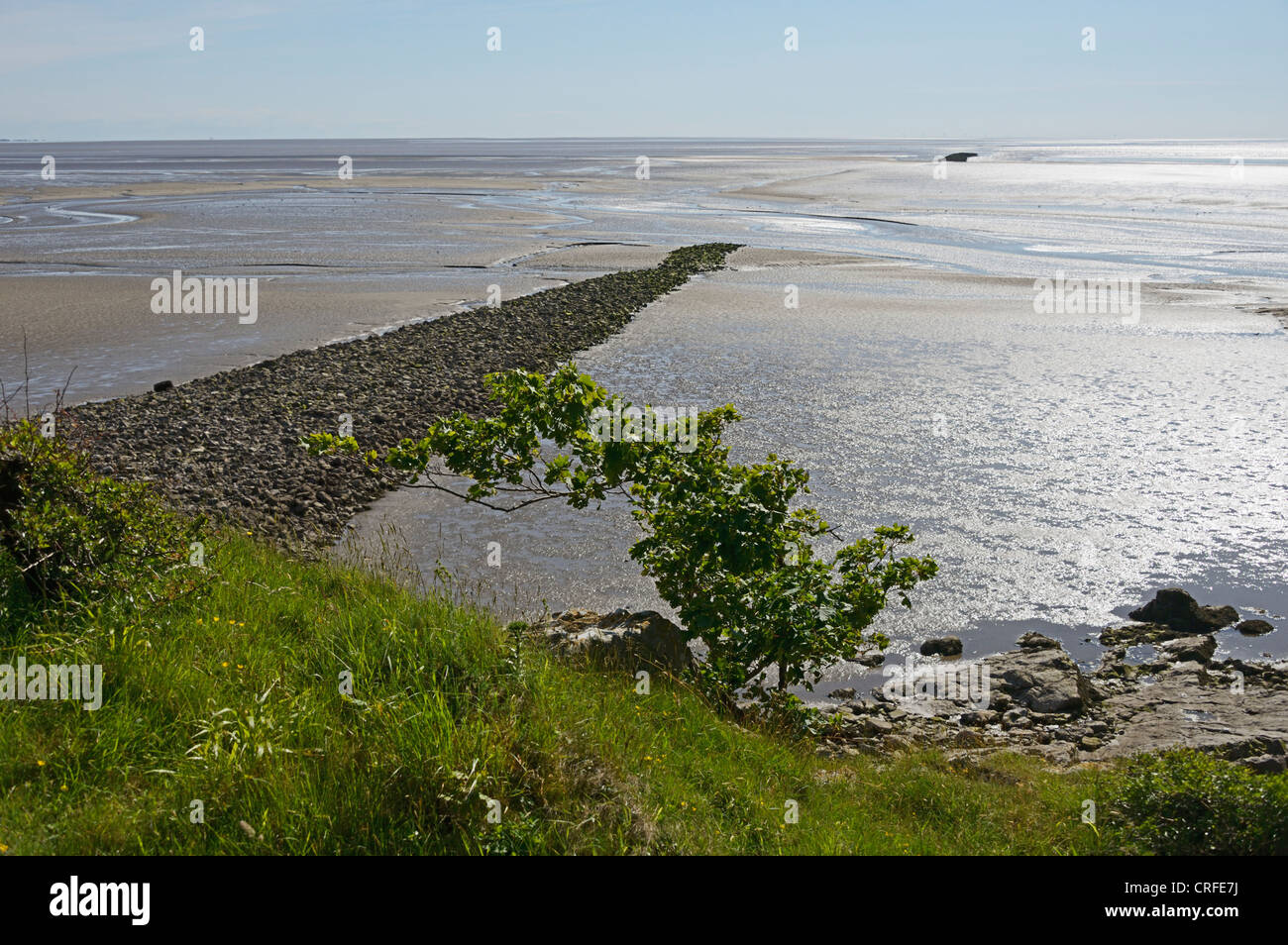 Morecambe Bay. Jenny braun Punkt Silverdale, Lancashire, England, Vereinigtes Königreich, Europa. Stockfoto