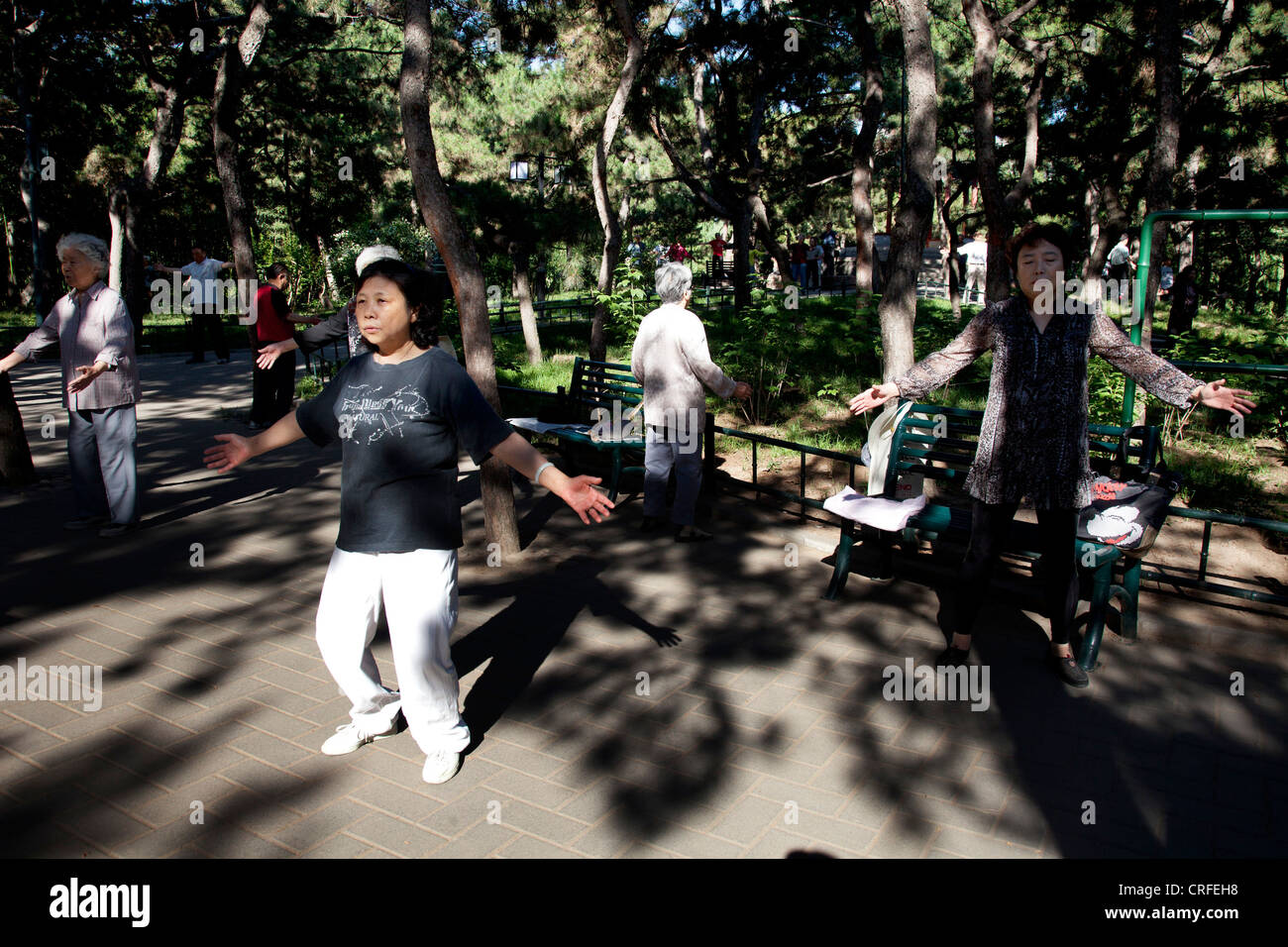 Menschen nehmen ihre Morgen Tai Chi Chuan trainieren Sie im Zizhuyuan Park (lila Bambuspark) in Peking, China. Stockfoto