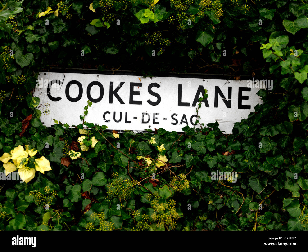 Sackgasse Zeichen Cookes Lane England Stockfoto