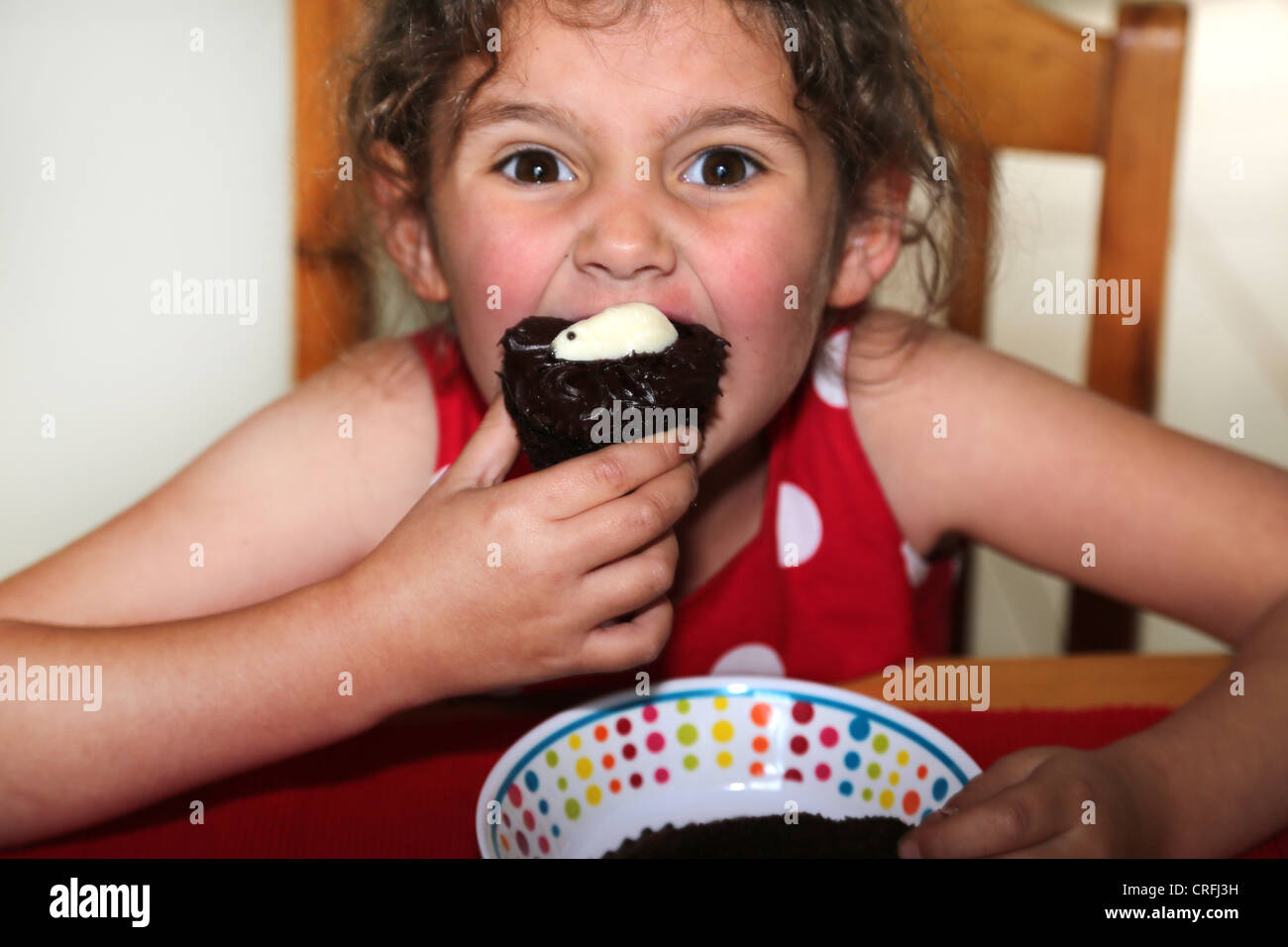 Mädchen essen dunkle Schokolade Cupcake mit weißen Choclate Maus England Stockfoto