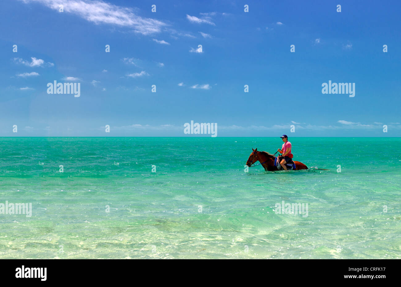Reiter im Wasser. Providenciales. Turks- und Caicosinseln. Stockfoto