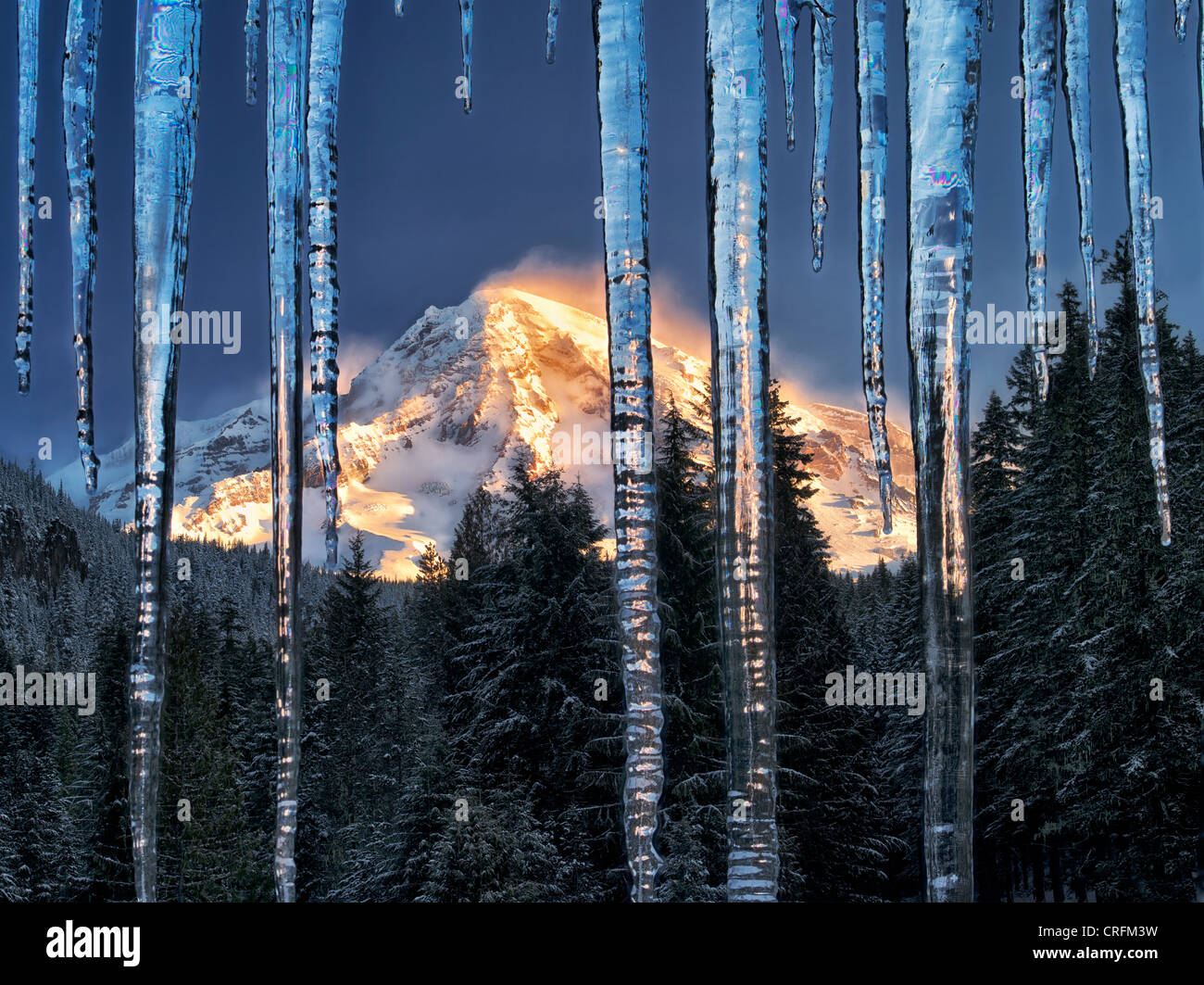 Eiszapfen und Mt. Rainier. Mt. Rainier Nationalpark, Washington Stockfoto