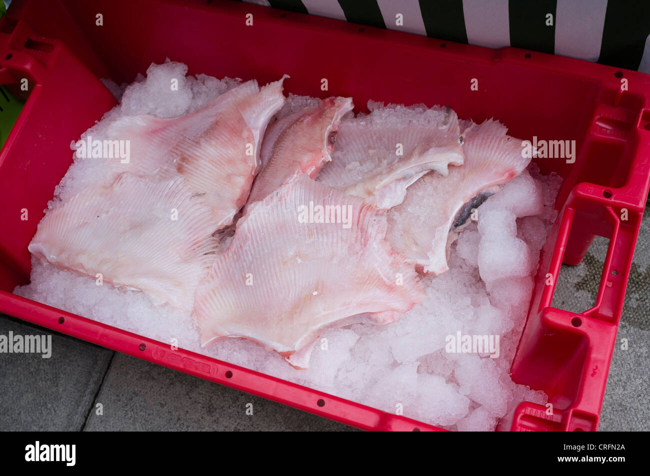 Frischfisch (Skate Flügel) zum Verkauf an ein Bauern-Markt uk Stockfoto