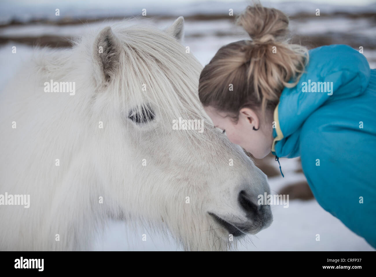 Frau küssen Schimmel im Schnee Stockfoto