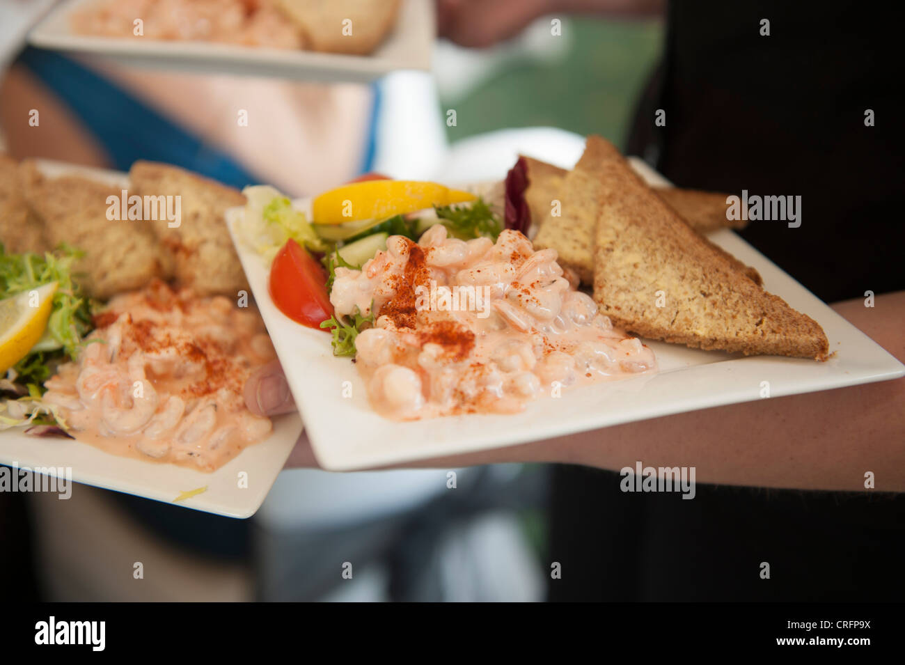 Platten von Krabbencocktail mit Scheiben von Braun Butterbrot Starter Gerichten bei einer Hochzeitsfeier UK Stockfoto
